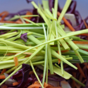 Thumbnail image for Winter coleslaw: in praise of raw food (some of the time!)