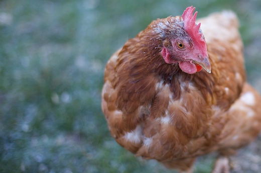 Post image for Easy ways to keep yourself healthy this Winter