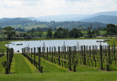 Post image for Tagged for a meme: Fantastic Four